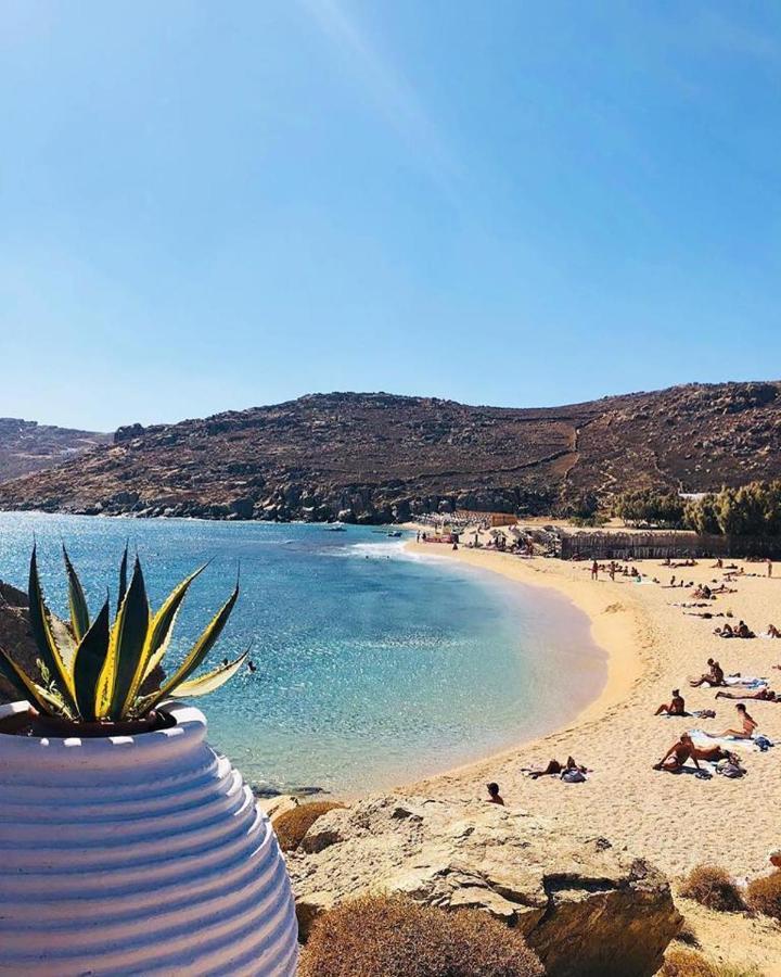 Agrari Ninemia Mykonos Agrari (Mykonos) Exterior foto